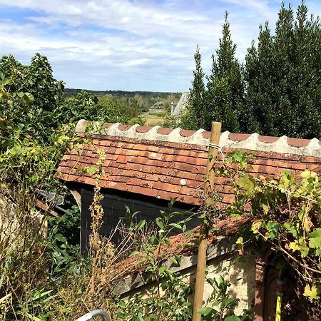 La Maison Bleue De Husseau Ancienne Ferme Semi-Troglodytique 18E Siecle Βίλα Montlouis-sur-Loire Εξωτερικό φωτογραφία
