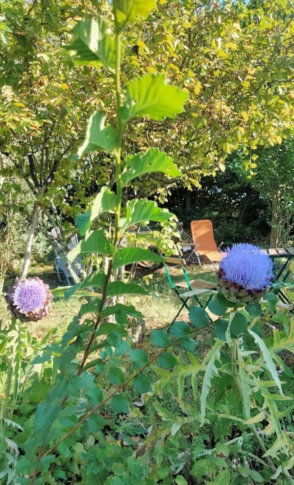 La Maison Bleue De Husseau Ancienne Ferme Semi-Troglodytique 18E Siecle Βίλα Montlouis-sur-Loire Εξωτερικό φωτογραφία