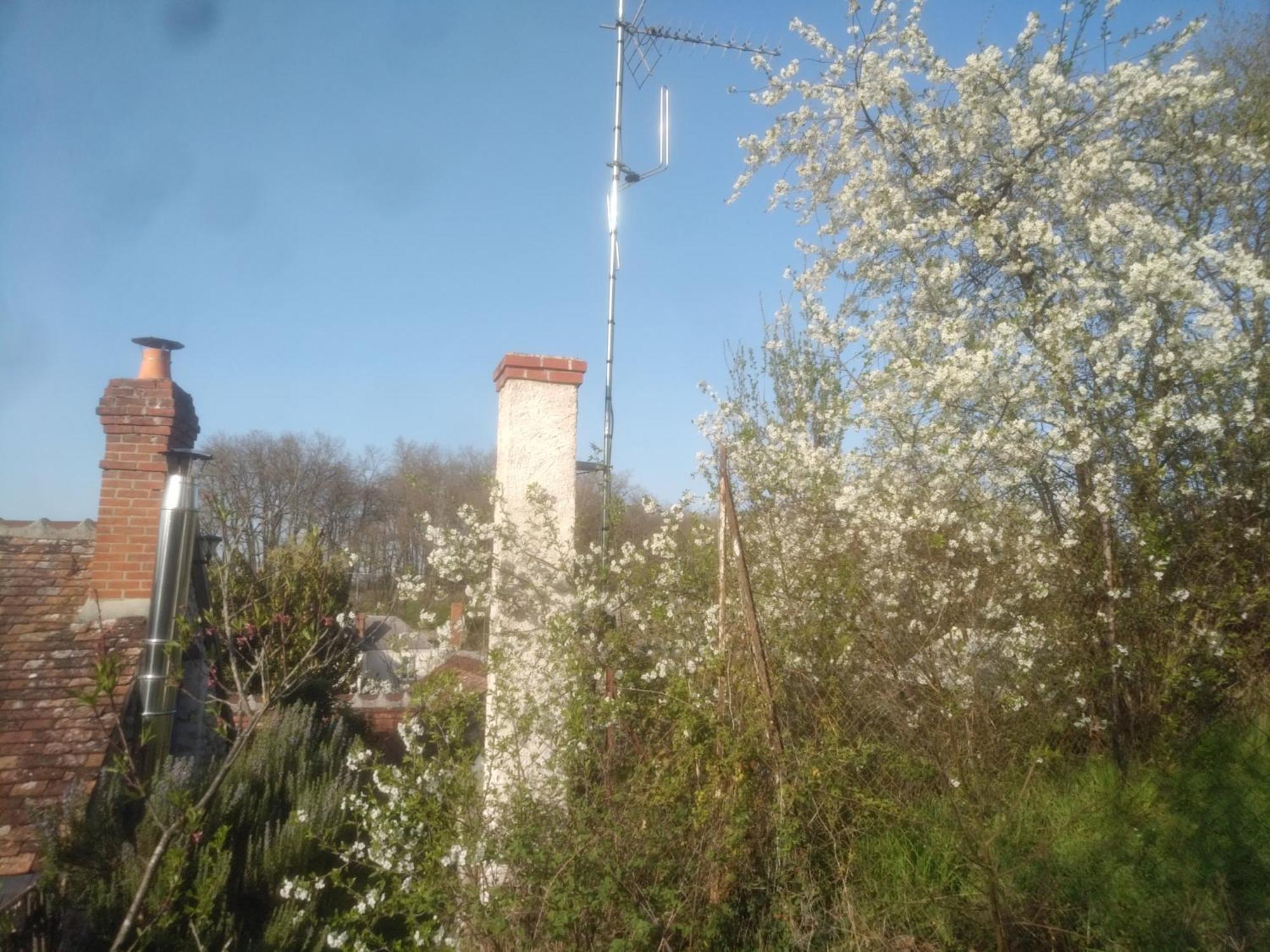 La Maison Bleue De Husseau Ancienne Ferme Semi-Troglodytique 18E Siecle Βίλα Montlouis-sur-Loire Εξωτερικό φωτογραφία